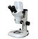 Binocular Digital Zoom Stereo Microscope